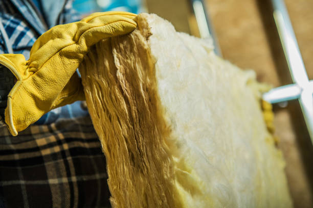 Best Insulation for Specific Applications in Marion Oaks, FL