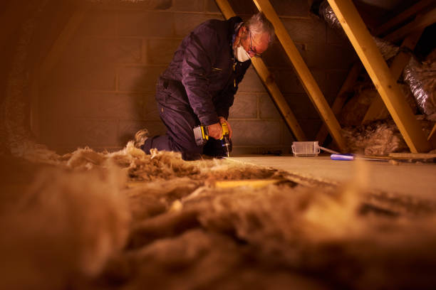 Best Insulation Maintenance and Repair in Marion Oaks, FL
